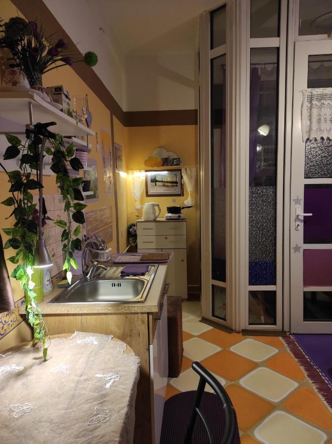 Pension Relax Litoměřice 外观 照片