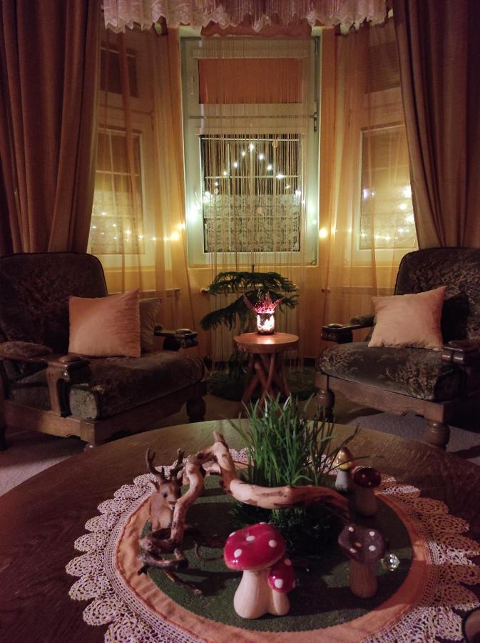 Pension Relax Litoměřice 外观 照片
