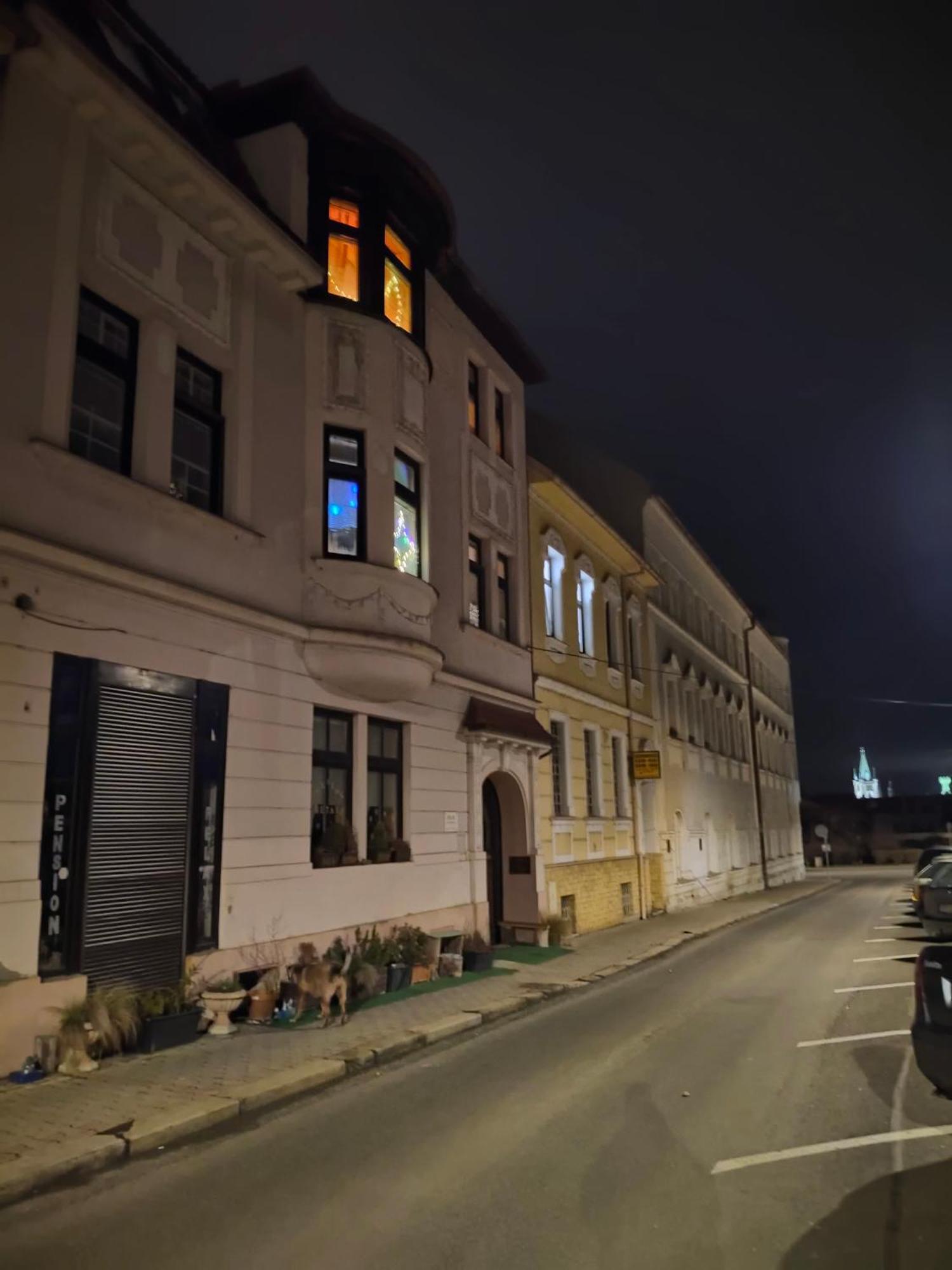 Pension Relax Litoměřice 外观 照片